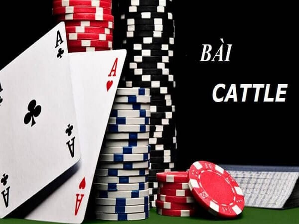 Những Thuật ngữ cần biết về Cát tê 6 lá
